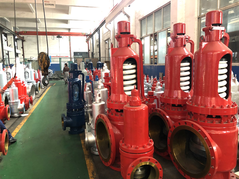Spring-Loaded Safety Valves